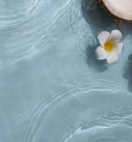 Massage Thérapeutique